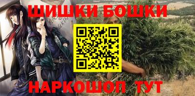 стафф Ставрополь