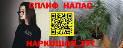 стафф Ставрополь