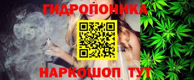 стафф Ставрополь
