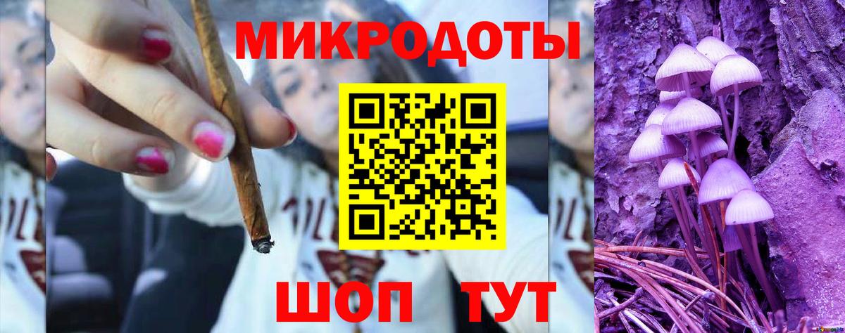 Галлюциногенные грибы Psilocybine cubensis Балашиха