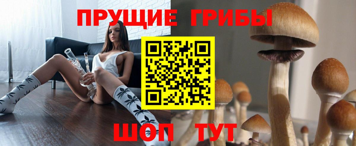 Балашиха  Псилоцибиновые грибы GOLDEN TEACHER  Вход с VPN 